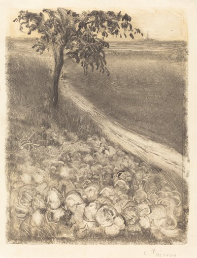 Road by a Field of Cabbages, c. 1880 by Camille Pissarro