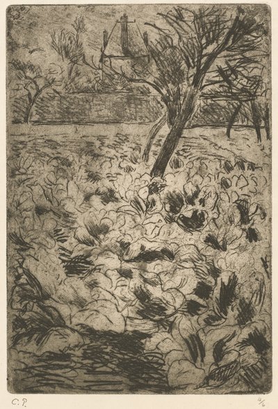 The Cabbage Field, c. 1880 by Camille Pissarro