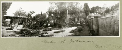 Garden of Gethsemane, 14th December 1917 by Capt. Arthur Rhodes