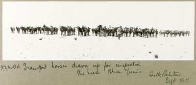 N.Z.M.F.A. Transport Horses Drawn Up for Inspection on the Beach, Khan Yunis by Capt. Arthur Rhodes
