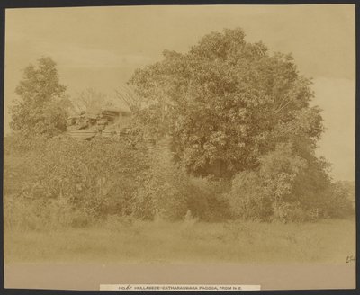 Hullabede - Catharaswama Pagoda from Northeast by Capt. Linnaeus Tripe