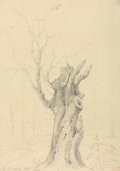 In Lord Yarborough