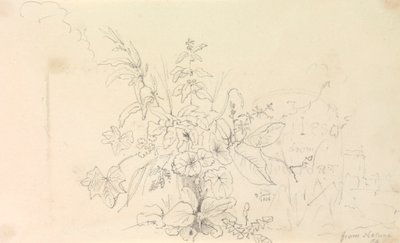 Sketch of Plants and a Milestone from Nature, 3 June 1826 by Capt. Thomas Hastings