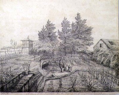 A View of Napoleon I