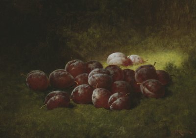 Purple Plums, 1895 by Carducius Plantagenet Ream
