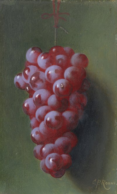 Still Life with Grapes by Carducius Plantagenet Ream