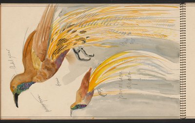 Great Bird of Paradise by Carel Adolph Lion Cachet