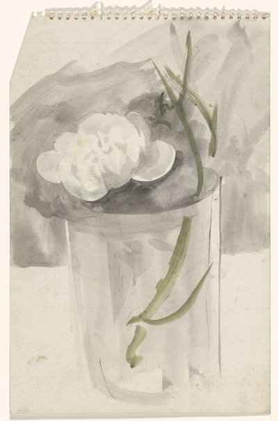 White Flower in a Glass by Carel Adolph Lion Cachet