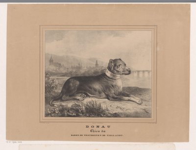 Dog Donau by Carel Christiaan Antony Last