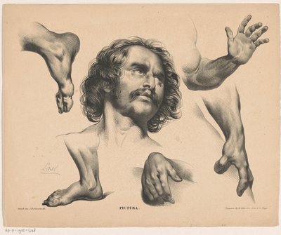 Head of a Man, Feet, Hands, and Arms by Carel Christiaan Antony Last