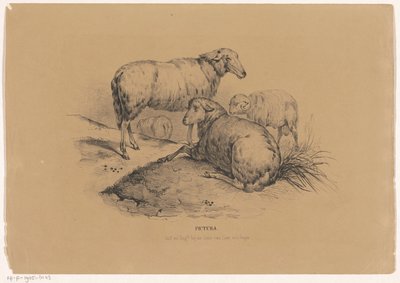 Four Sheep by Carel Christiaan Antony Last