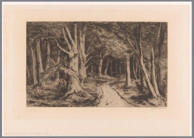 Forest Edge with Forest Path by Carel Nicolaas Storm van 