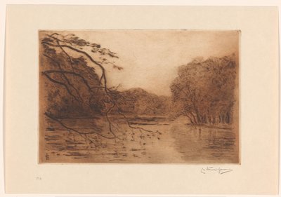 Pond in the Hague Forest by Carel Nicolaas Storm van 