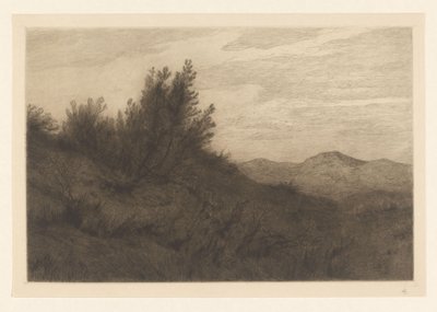Dune Landscape by Carel Nicolaas Storm van 