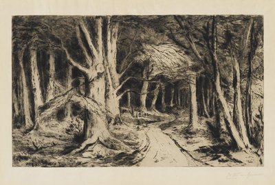 Forest Path by Carel Nicolaas Storm van s Gravesande