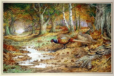 Cock Pheasant and Sulphur Tuft Fungi by Carl Donner
