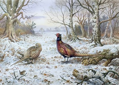 Pair of Pheasants with a Wren by Carl Donner