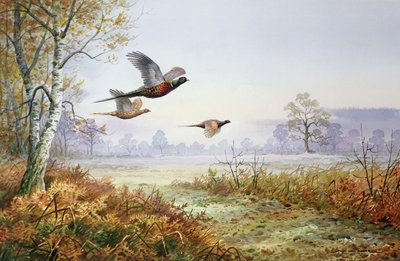 Pheasants in Flight by Carl Donner