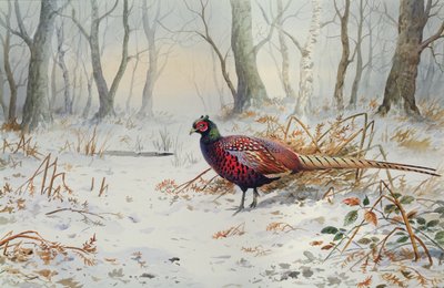 Pheasants in Snow by Carl Donner