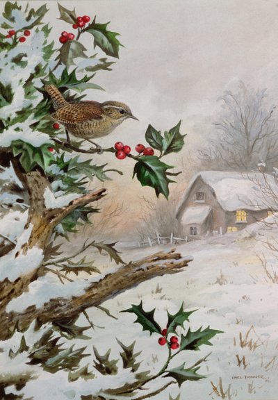 Wren in Hollybush by a cottage by Carl Donner