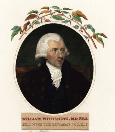 Portrait of William Withering, Physician and Botanist by Carl Frederik van (after) Breda