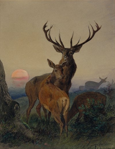 A Stag with a Deer in a Wooded Landscape at Sunset by Carl Friedrich Deiker