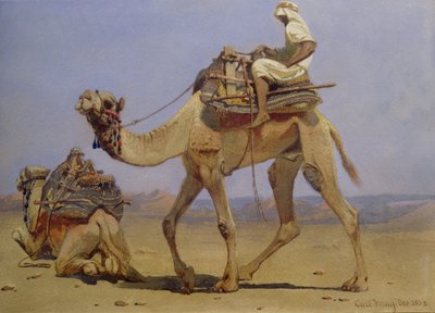 Camel Preparing to Lie Down by Carl Haag