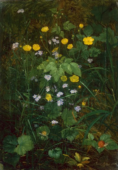 Buttercups and Forget-Me-Nots on a Forest floor by Carl Henrik Koch Moller