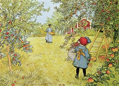 The Apple Harvest by Carl Larsson