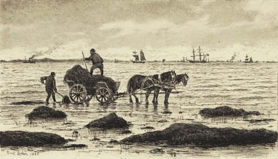 Farmers Driving Seaweed by Carl Locher