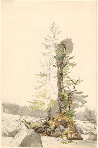 A Clump of Trees by a Rocky Stream in the Ramsau by Carl Morgenstern