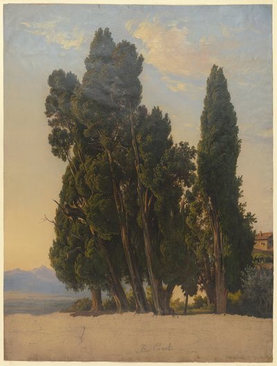 Cypresses in the Park of Villa d