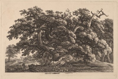 A Widely Expanding Oak Tree by Carl Wilhelm Kolbe