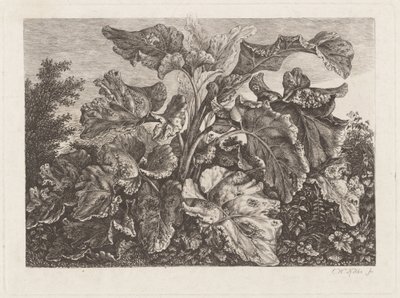 Plant Study with Burdock by Carl Wilhelm Kolbe