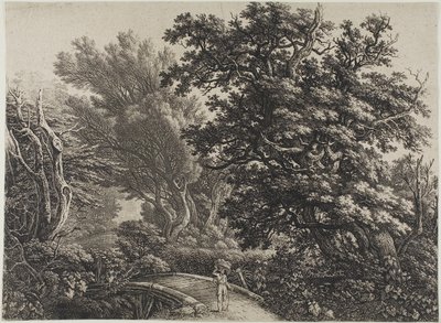 Rustic Bridge in a Tangled Wood by Carl Wilhelm Kolbe, the elder
