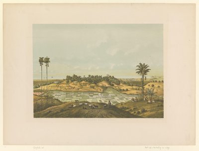 View of a Landscape near Samarang by Carl Wilhelm Mieling (possibly)