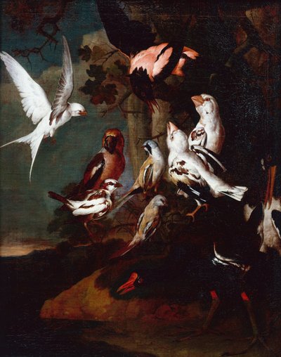 A Moorhen, Swallow, Finches and other birds in a Wooded River Landscape by Carl Wilhelm de Hamilton