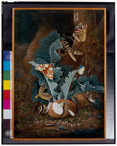 Forest Floor Still Life with Snails, Snakes, Lizards and Butterflies by Carl Wilhelm de Hamilton