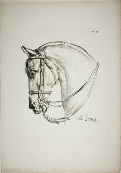 Detail of Horse