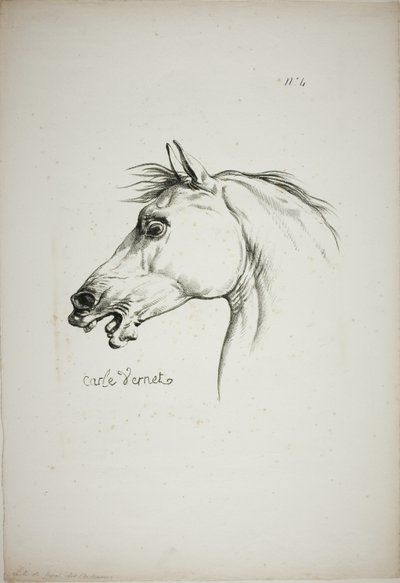 Detail of Horse