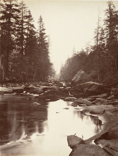 Merced River, Yosemite, ca. 1872, printed ca. 1876 by Carleton E. Watkins.