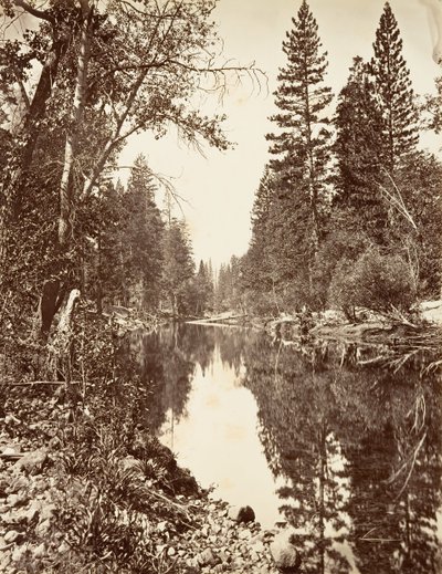 Merced River, Yosemite by Carleton E. Watkins.