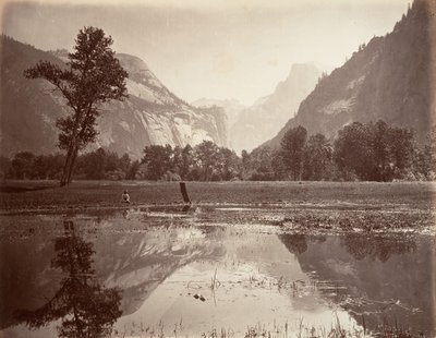 The Domes, Yosemite by Carleton E. Watkins.