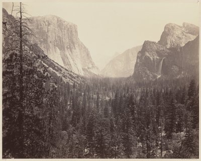 The Yosemite Valley from the Mariposa Trail by Carleton E. Watkins