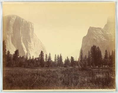 Up the Valley from the Foot of the Mariposa Trail, Yosemite, No. 9 by Carleton E. Watkins