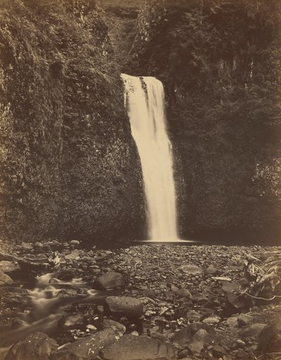 Lower Multnomah Falls, Columbia River, 1867 by Carleton Emmons Watkins
