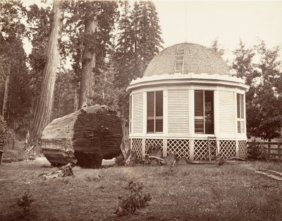 The House Built Over the Stump of a Big Tree, 1865-66, Printed ca. 1876 by Carleton Emmons Watkins
