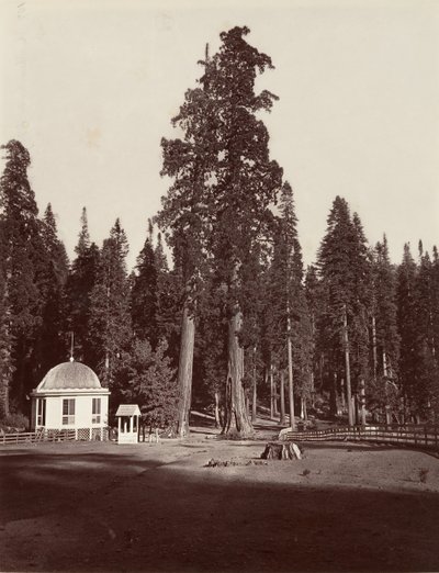 The Sentinel, 315 feet, 1865-66, printed ca. 1876 by Carleton Emmons Watkins