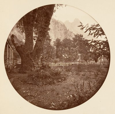 Yosemite National Park, California by Carleton Emmons Watkins