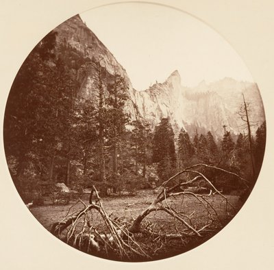 Yosemite National Park, California, ca. 1878 by Carleton Emmons Watkins
